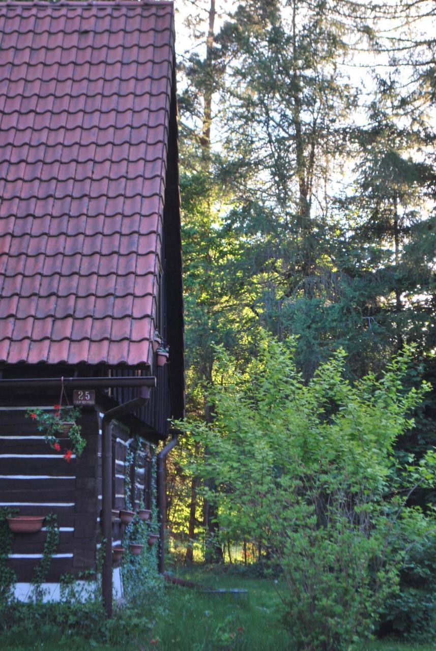 Adrspach U Meieru Exterior foto